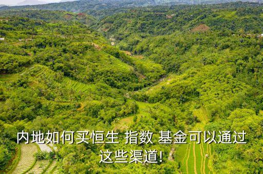 內(nèi)地如何買(mǎi)恒生 指數(shù) 基金可以通過(guò)這些渠道!