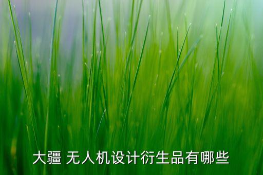 朗星無人機系統(tǒng)有限公司,朗星電子設備(東莞)有限公司