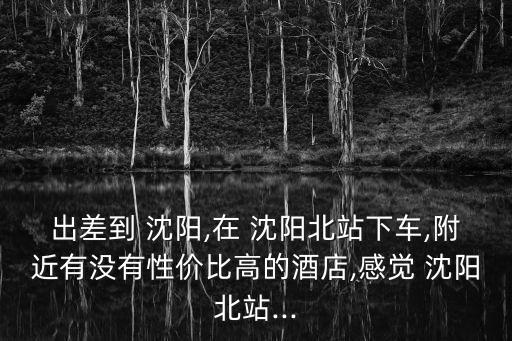 出差到 沈陽(yáng),在 沈陽(yáng)北站下車(chē),附近有沒(méi)有性價(jià)比高的酒店,感覺(jué) 沈陽(yáng)北站...