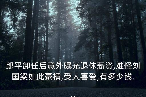郎平卸任后意外曝光退休薪資,難怪劉國(guó)梁如此豪橫,受人喜愛,有多少錢...
