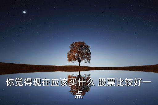你覺得現(xiàn)在應(yīng)該買什么 股票比較好一點