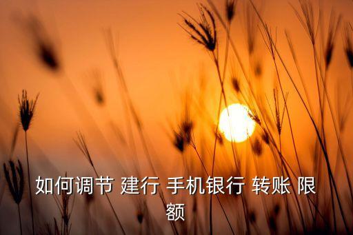 建行手機(jī)銀行單筆轉(zhuǎn)賬限額,建行個人手機(jī)銀行 單筆提額