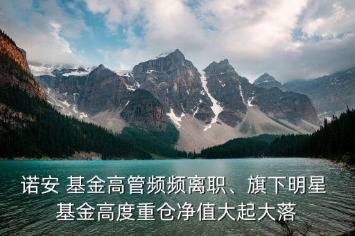 諾安 基金高管頻頻離職、旗下明星 基金高度重倉凈值大起大落