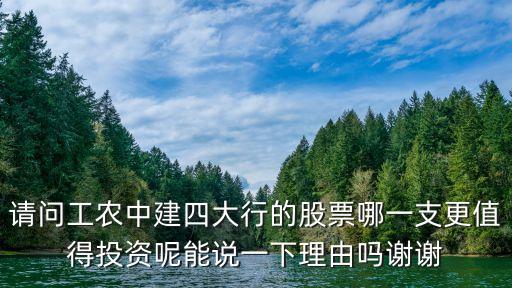 請(qǐng)問工農(nóng)中建四大行的股票哪一支更值得投資呢能說一下理由嗎謝謝