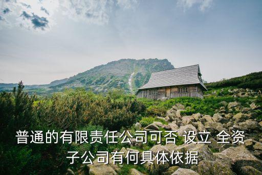 設(shè)立全資子公司股東會(huì)決議,為全資子公司提供擔(dān)保需要股東會(huì)決議嗎