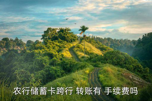 農(nóng)行儲蓄卡跨行 轉(zhuǎn)賬有 手續(xù)費嗎