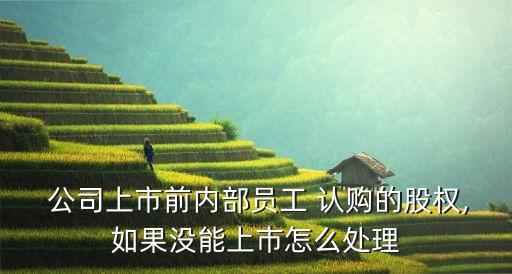  公司上市前內(nèi)部員工 認購的股權(quán),如果沒能上市怎么處理