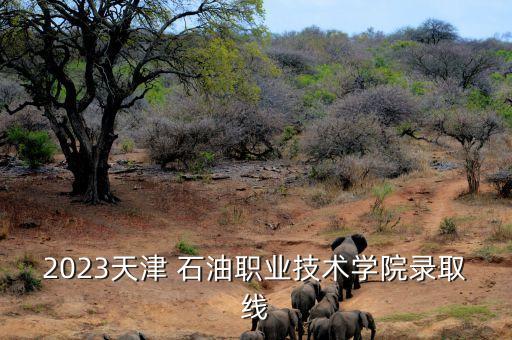 2023天津 石油職業(yè)技術學院錄取線