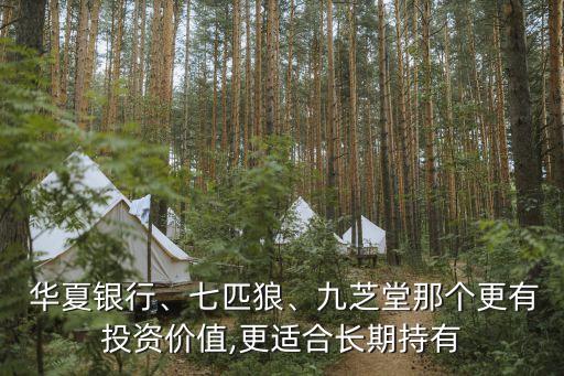  華夏銀行、七匹狼、九芝堂那個(gè)更有投資價(jià)值,更適合長(zhǎng)期持有