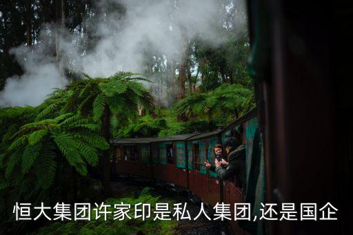 恒大集團(tuán)許家印是私人集團(tuán),還是國(guó)企