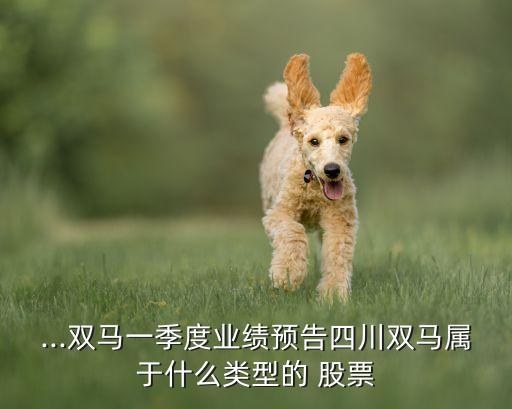 ...雙馬一季度業(yè)績(jī)預(yù)告四川雙馬屬于什么類型的 股票