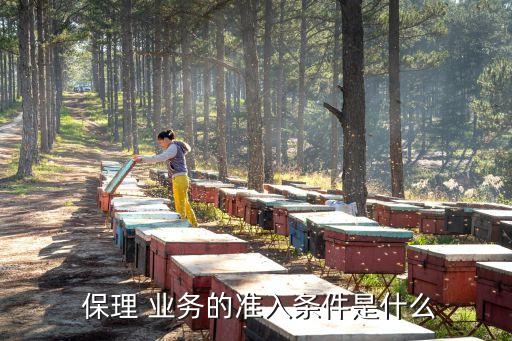  保理 業(yè)務的準入條件是什么