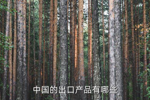 中國的出口產品有哪些