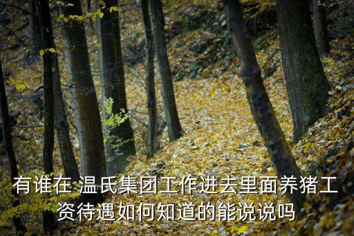 有誰在 溫氏集團工作進(jìn)去里面養(yǎng)豬工資待遇如何知道的能說說嗎