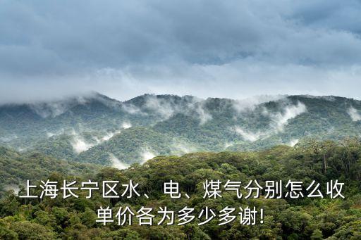  上海長寧區(qū)水、電、煤氣分別怎么收單價各為多少多謝!