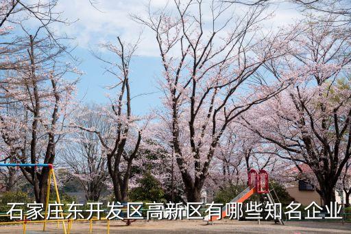 寶石集團改制,石家莊寶石電子集團