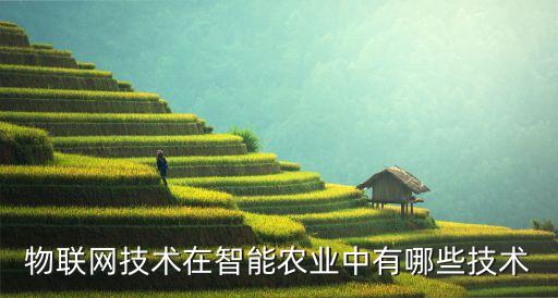 物聯(lián)網技術在智能農業(yè)中有哪些技術