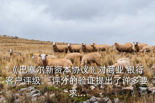 《巴塞爾新資本協(xié)議》對商業(yè) 銀行 客戶評級、 評分的驗證提出了許多要求...