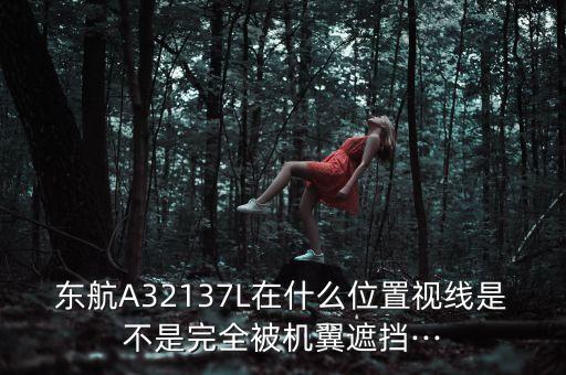 中國東方航空a321