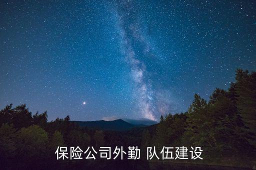  保險公司外勤 隊伍建設