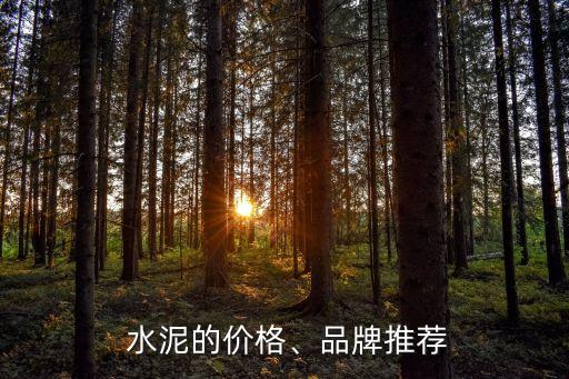 上海自貿(mào)區(qū)南方水泥,上海南方水泥主要領導名單