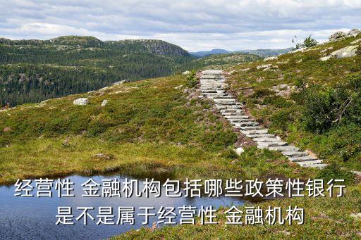 經(jīng)營性 金融機(jī)構(gòu)包括哪些政策性銀行是不是屬于經(jīng)營性 金融機(jī)構(gòu)