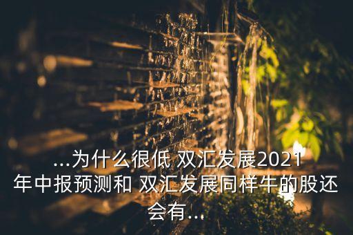 ...為什么很低 雙匯發(fā)展2021年中報(bào)預(yù)測和 雙匯發(fā)展同樣牛的股還會有...