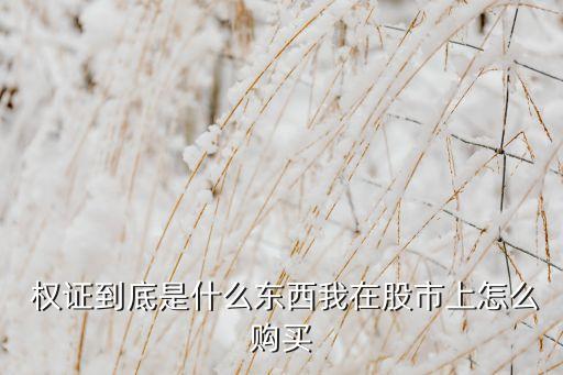  權(quán)證到底是什么東西我在股市上怎么購(gòu)買(mǎi)