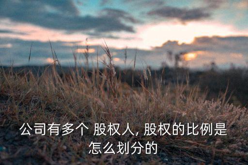 公司有多個 股權人, 股權的比例是怎么劃分的