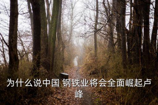 為什么說中國(guó) 鋼鐵業(yè)將會(huì)全面崛起盧峰