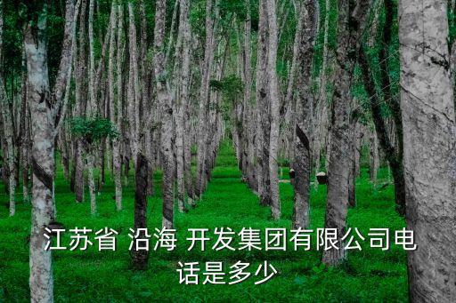  江蘇省 沿海 開(kāi)發(fā)集團(tuán)有限公司電話是多少