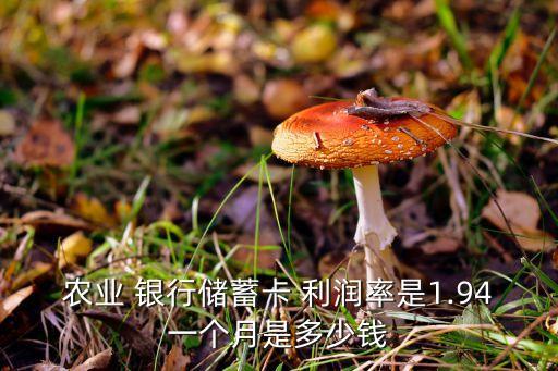 農(nóng)業(yè) 銀行儲蓄卡 利潤率是1.94一個(gè)月是多少錢