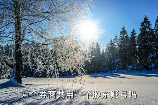 股票開(kāi)多個(gè)戶(hù)上證A都一樣嗎