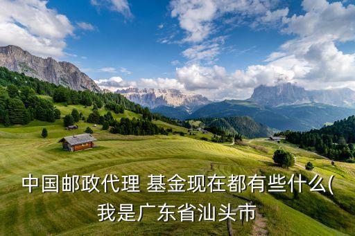 中國(guó)郵政代理 基金現(xiàn)在都有些什么(我是廣東省汕頭市