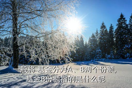 一般將 基金分為A、B兩個(gè)份額, 基金B(yǎng)份額指的是什么呢