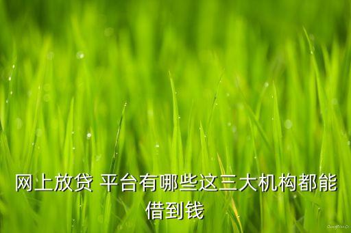 網上放貸 平臺有哪些這三大機構都能借到錢