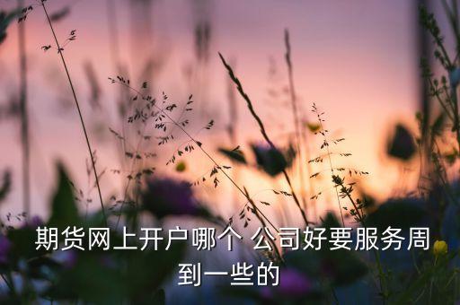  期貨網(wǎng)上開戶哪個 公司好要服務周到一些的