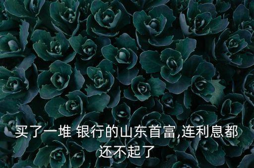 買(mǎi)了一堆 銀行的山東首富,連利息都還不起了