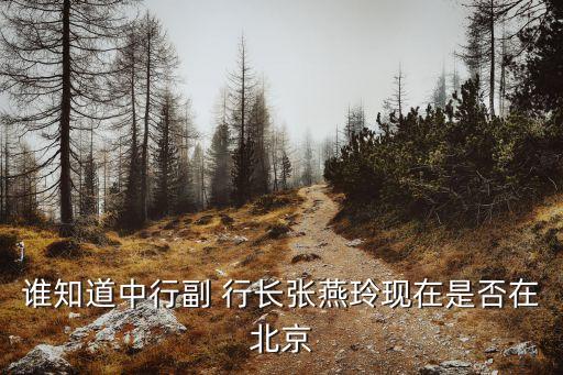 誰知道中行副 行長(zhǎng)張燕玲現(xiàn)在是否在北京