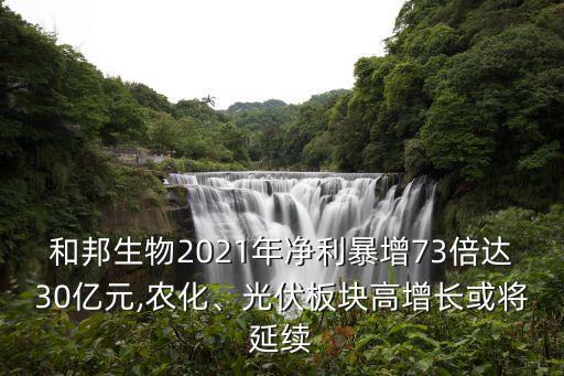 和邦生物2021年凈利暴增73倍達30億元,農(nóng)化、光伏板塊高增長或?qū)⒀永m(xù)