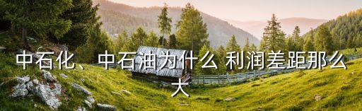 中石化、中石油為什么 利潤差距那么大