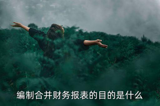 集團內(nèi)部往來報告,其他應收款集團內(nèi)部往來