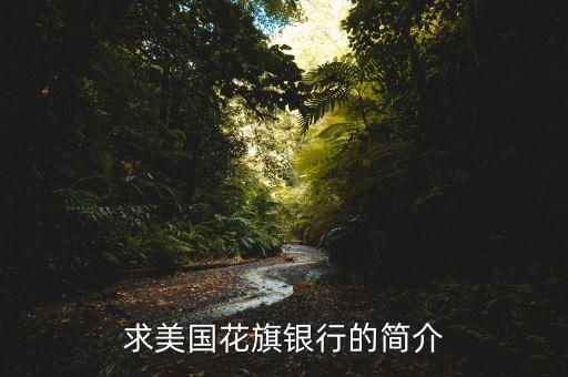 求美國花旗銀行的簡(jiǎn)介