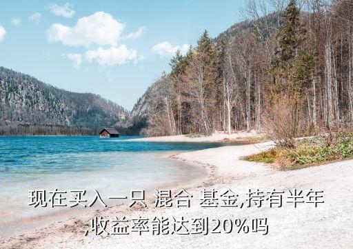 現在買入一只 混合 基金,持有半年,收益率能達到20%嗎