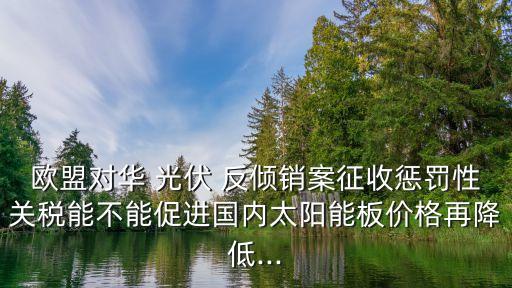歐美國家對中國光伏產業(yè)的反傾銷