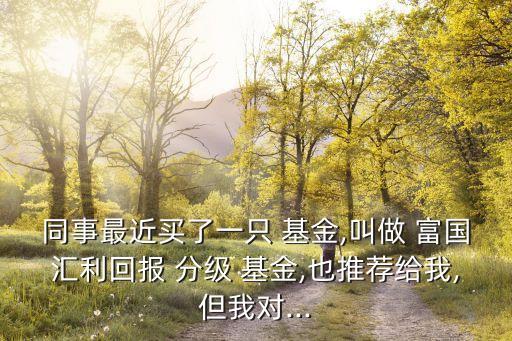 同事最近買了一只 基金,叫做 富國匯利回報(bào) 分級(jí) 基金,也推薦給我,但我對...
