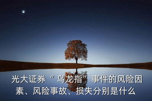  光大證券“ 烏龍指”事件的風險因素、風險事故、損失分別是什么