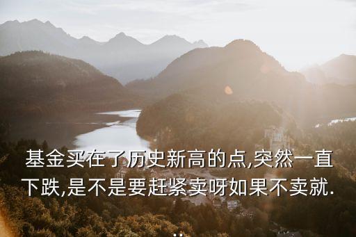 基金低賣(mài)高出好嗎,基金是不是應(yīng)該低買(mǎi)高賣(mài)