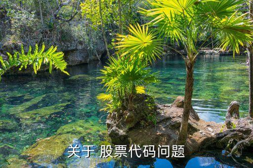 關于 股票代碼問題