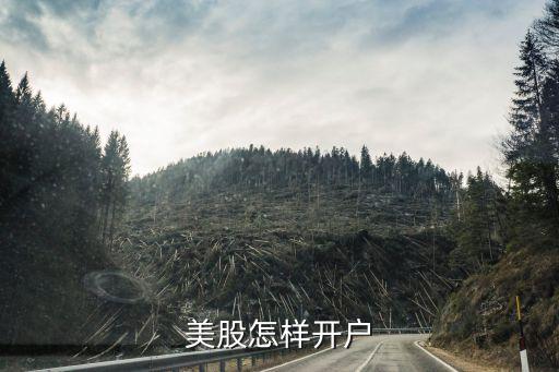 美股怎樣開(kāi)戶(hù)